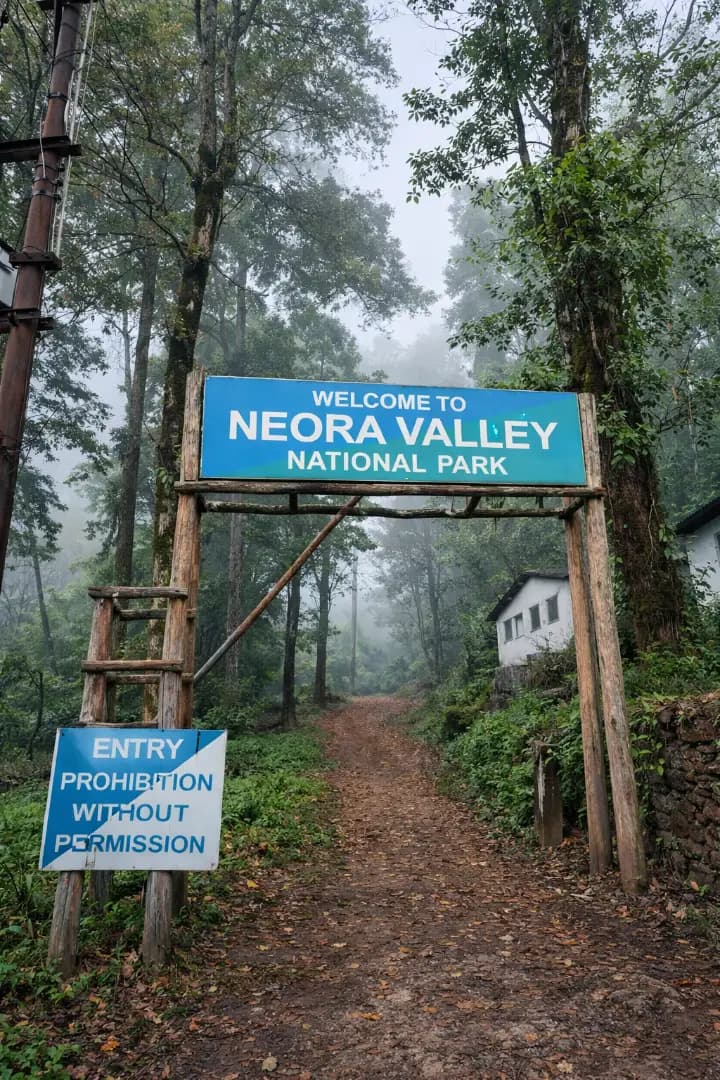 Dense forest trail inside Neora Valley National Park, Kalimpong